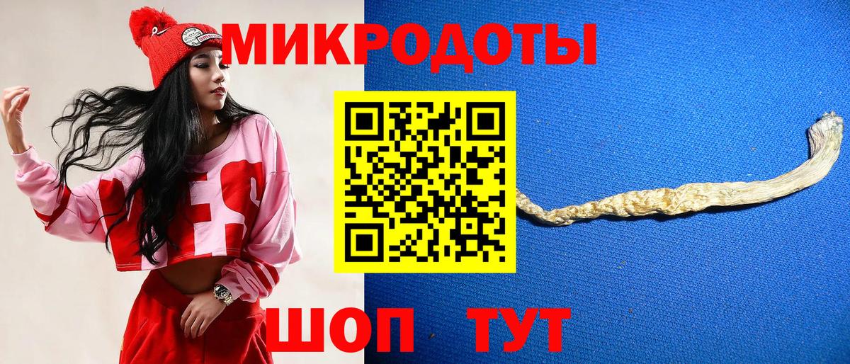 Корсаков  Псилоцибиновые грибы прущие грибы  Вход с VPN 