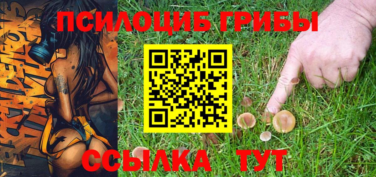 Псилоцибиновые грибы мухоморы Корсаков
